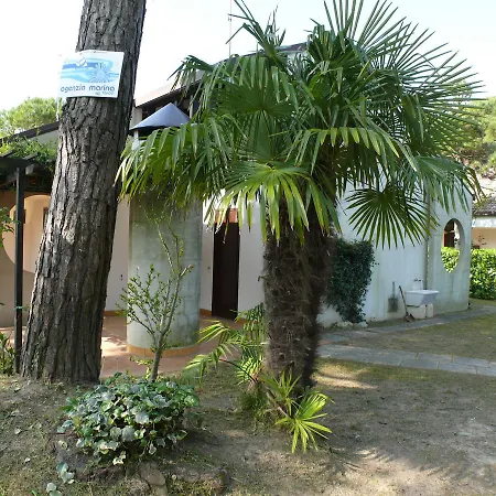 Silvana
